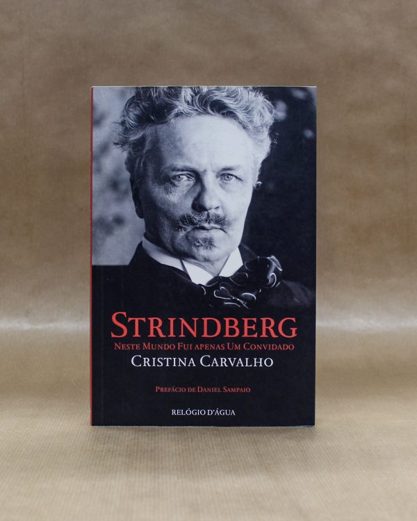 cristina-carvalho-strindberg-neste-mundo-fui-apenas-um-convidado-3
