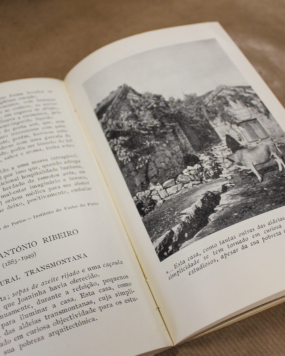 tras-os-montes-alto-douro-amandio-cesar-antologia-da-terra-portuguesa-2