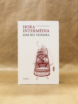 hora-intermedia-jose-rui-teixeira-poesia-resumida-1