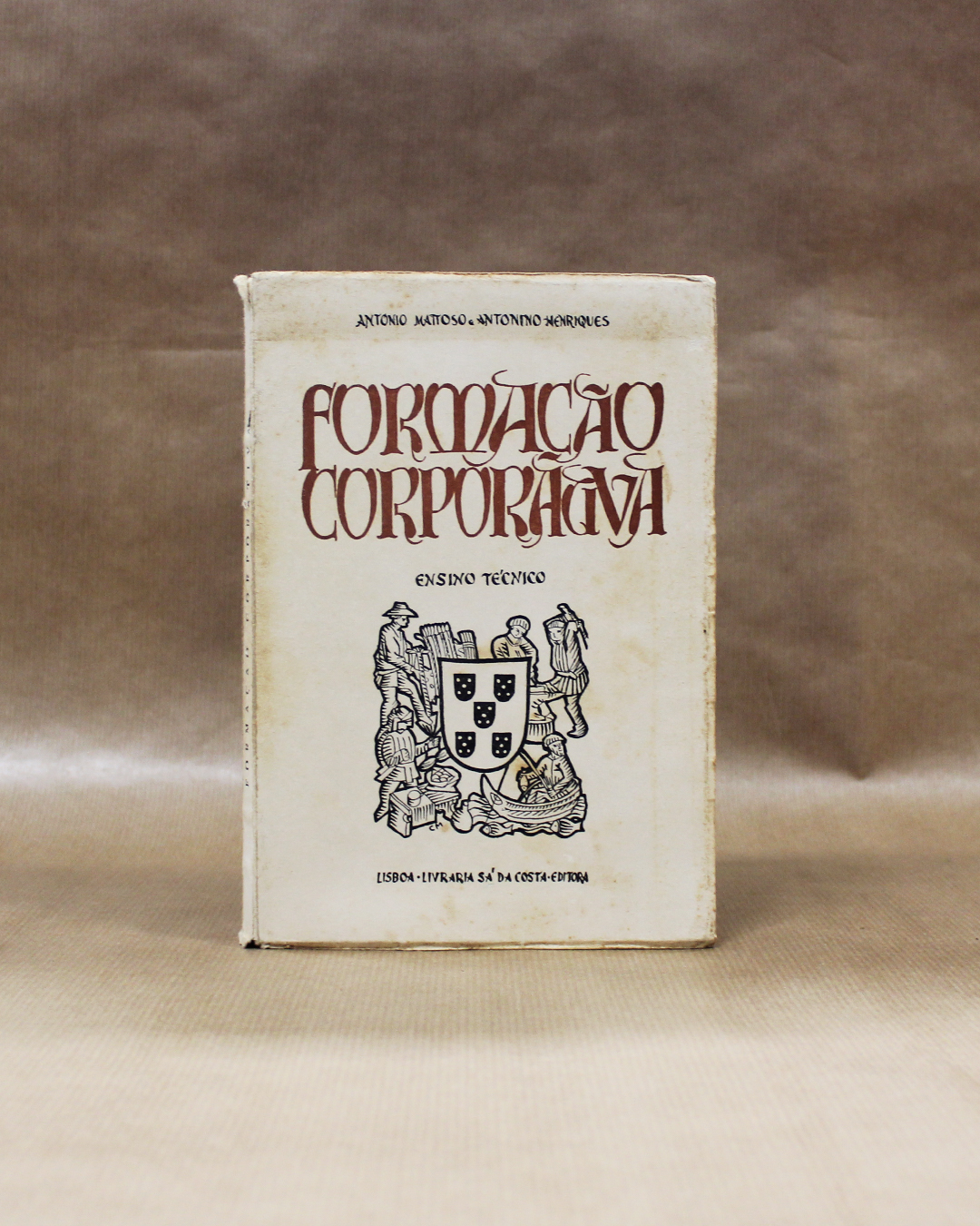 formacao-corporativa-1 formacao-corporativa-1