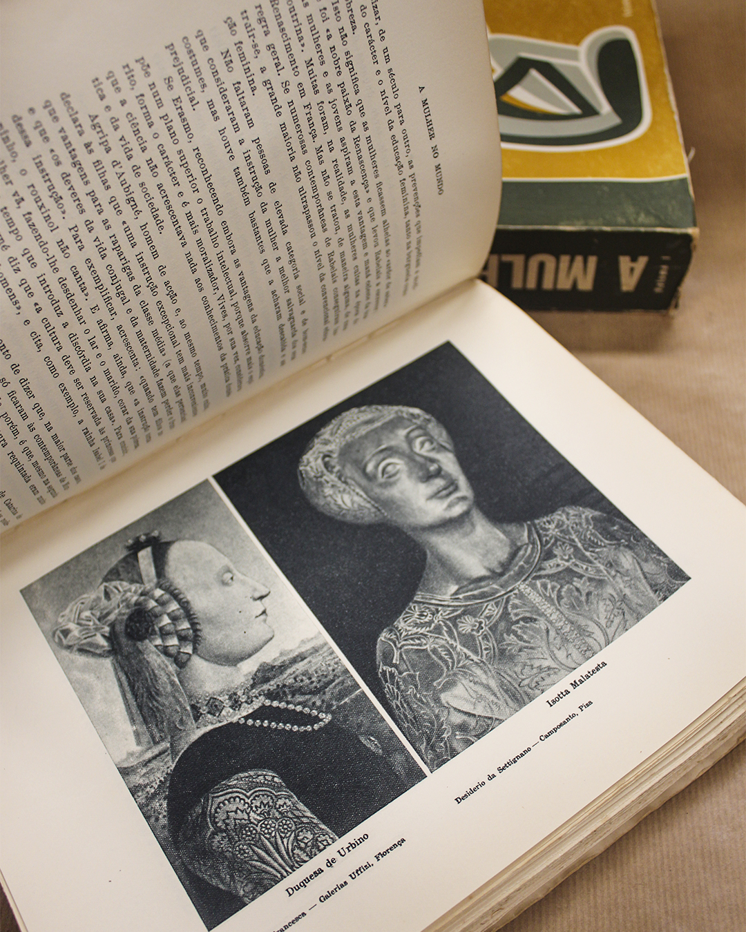 a-mulher-do-mundo-maria-lamas-2-volumes-1