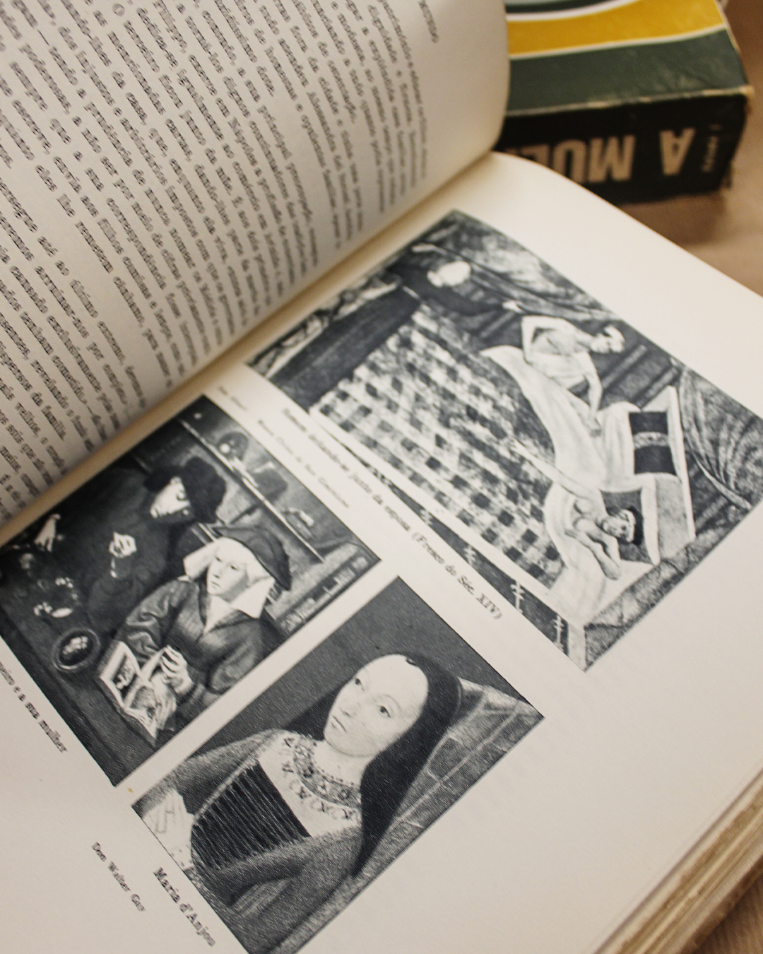 a-mulher-do-mundo-maria-lamas-2-volumes-3