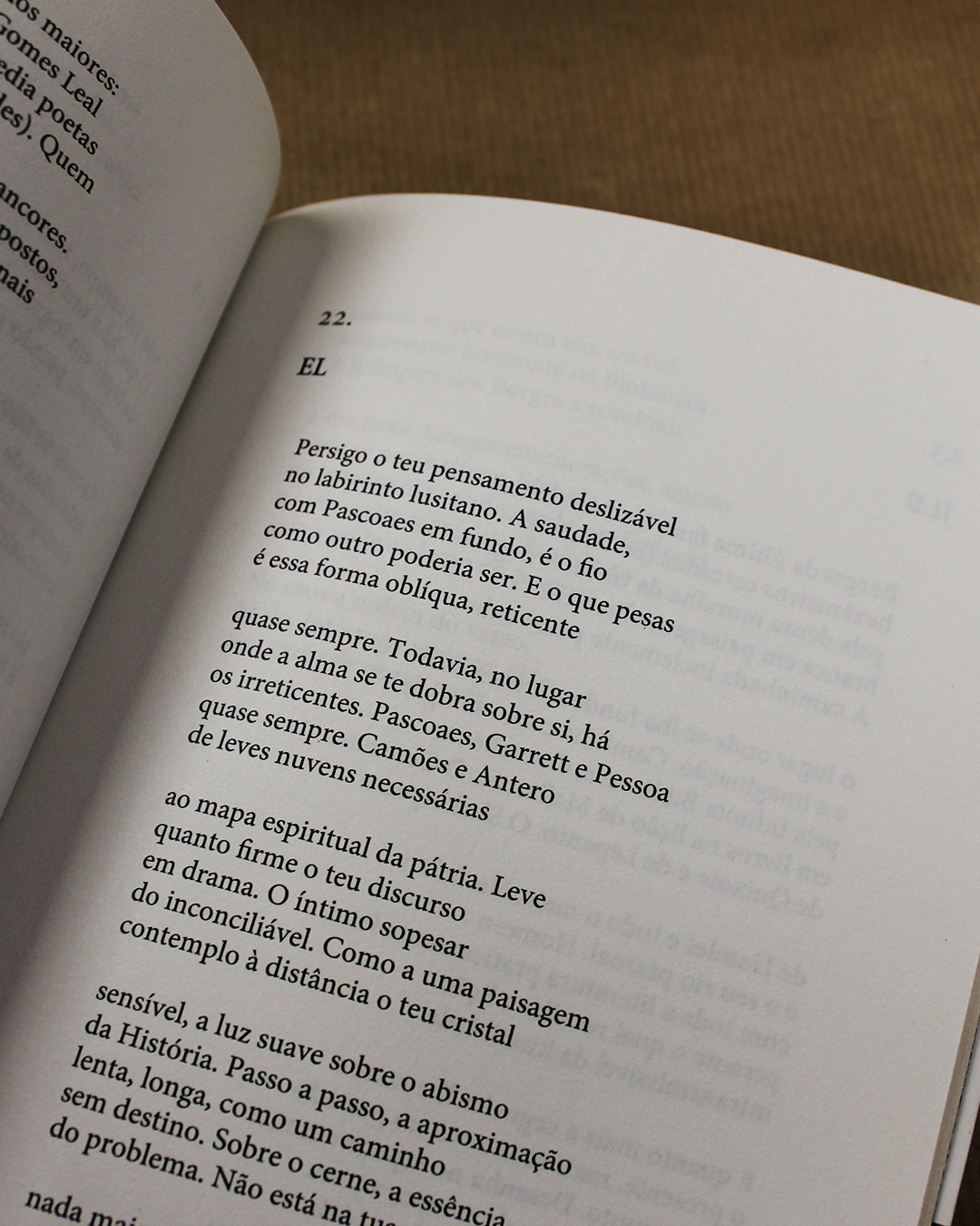 fernando-de-castro-branco-quarenta-e-quatro-poemas-2