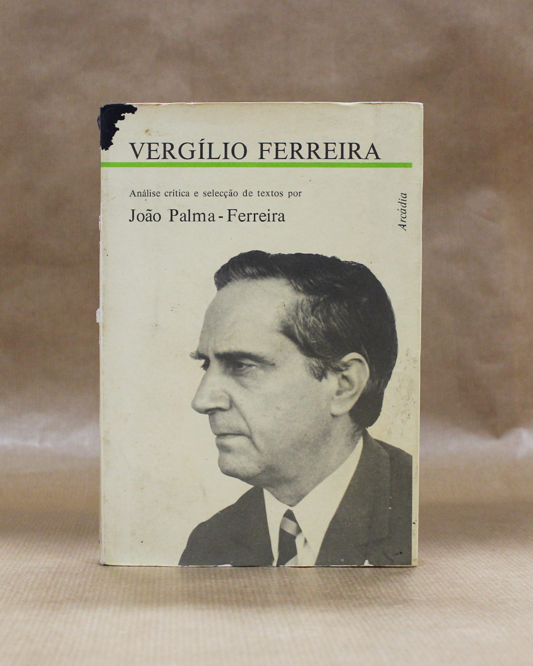 vergilio-ferreira-joao-palma-ferreira vergilio-ferreira-joao-palma-ferreira