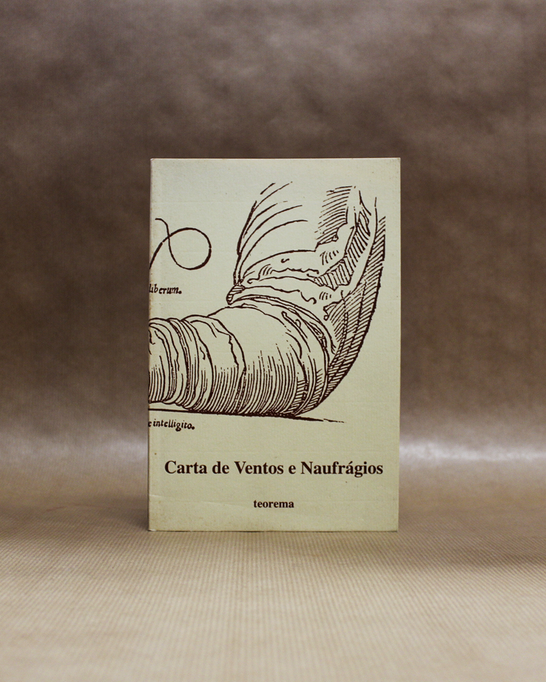 carta-ventos-naufragios-3 carta-ventos-naufragios-3