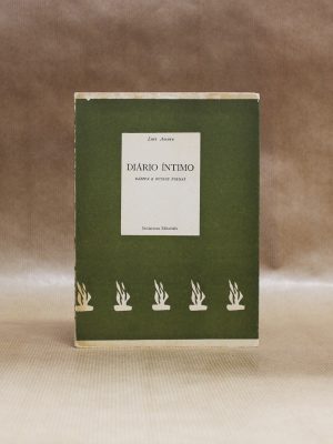 diario-intimo-luis-amaro-1