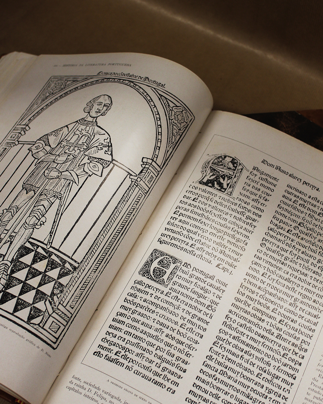 historia-da-literatura-portuguesa-ilustrada-1