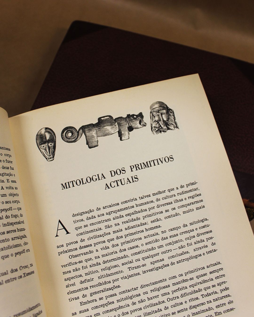 mitologia-dos-deuses-e-herois-maria-lamas-3