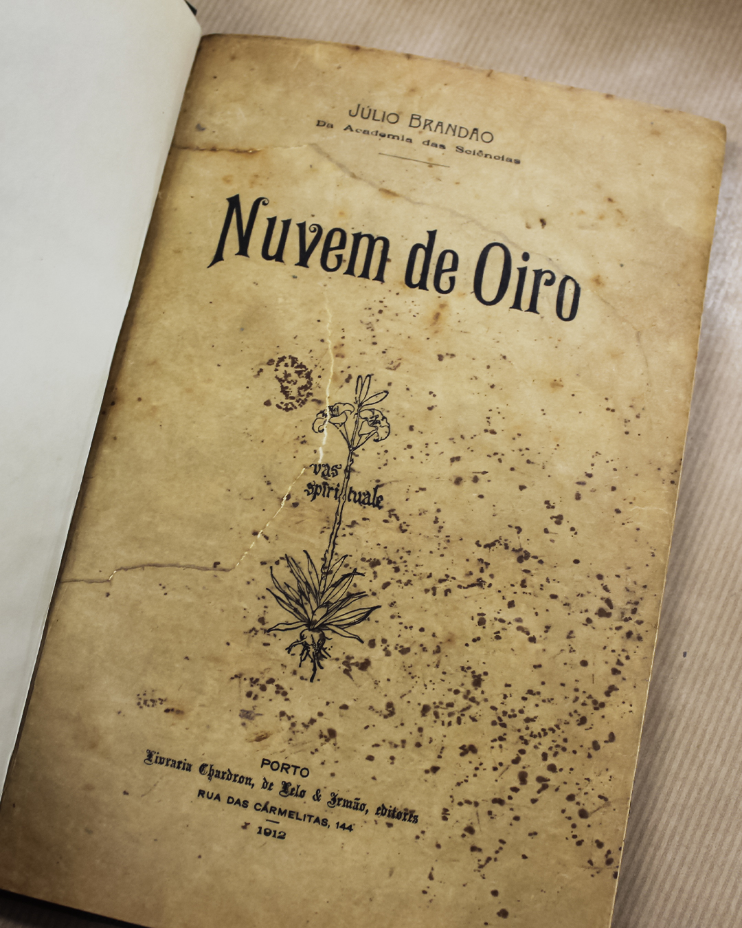 nuvem-de-oiro-julio-brandao-1 nuvem-de-oiro-julio-brandao-1