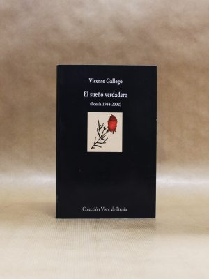 vicente-gallego-el-sueno-verdadero-1
