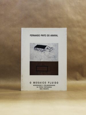 fernando-pinto-do-amaral-o-mosaico-fluido