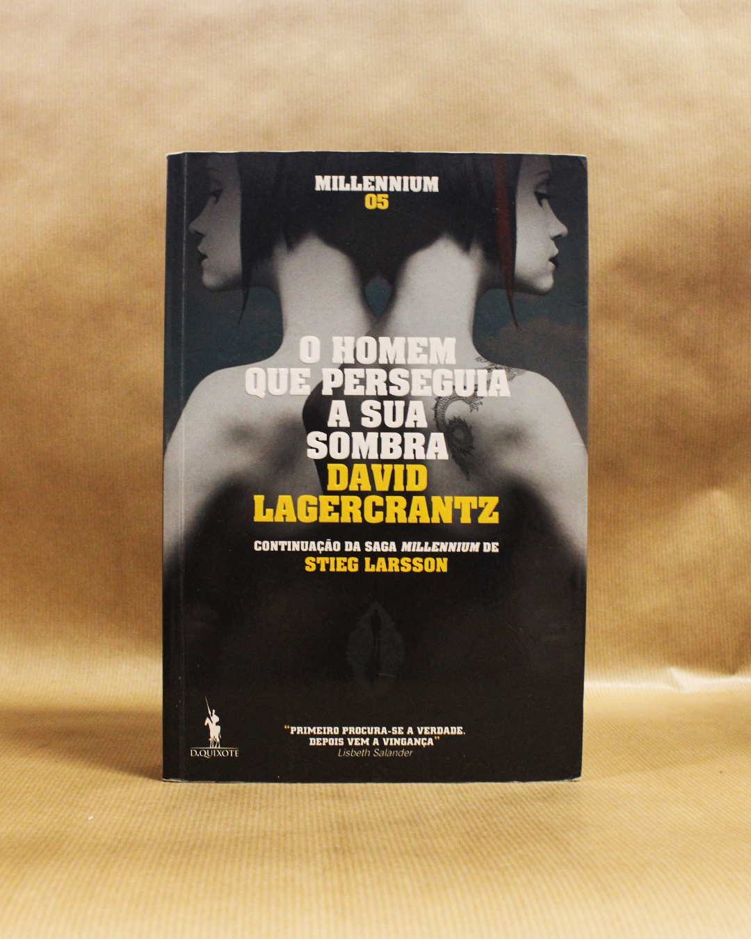 homem-que-perseguia-a-sua-sombra-david-lagercrantz homem-que-perseguia-a-sua-sombra-david-lagercrantz