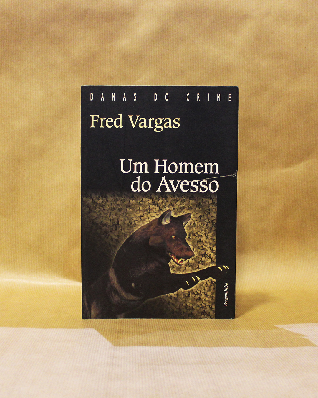um-homem-do-avesso um-homem-do-avesso