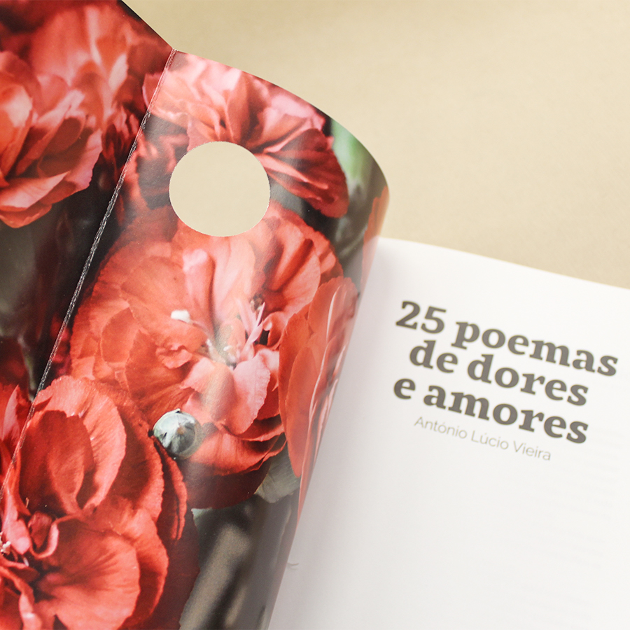 25 poemas de dores e amores - Image 2