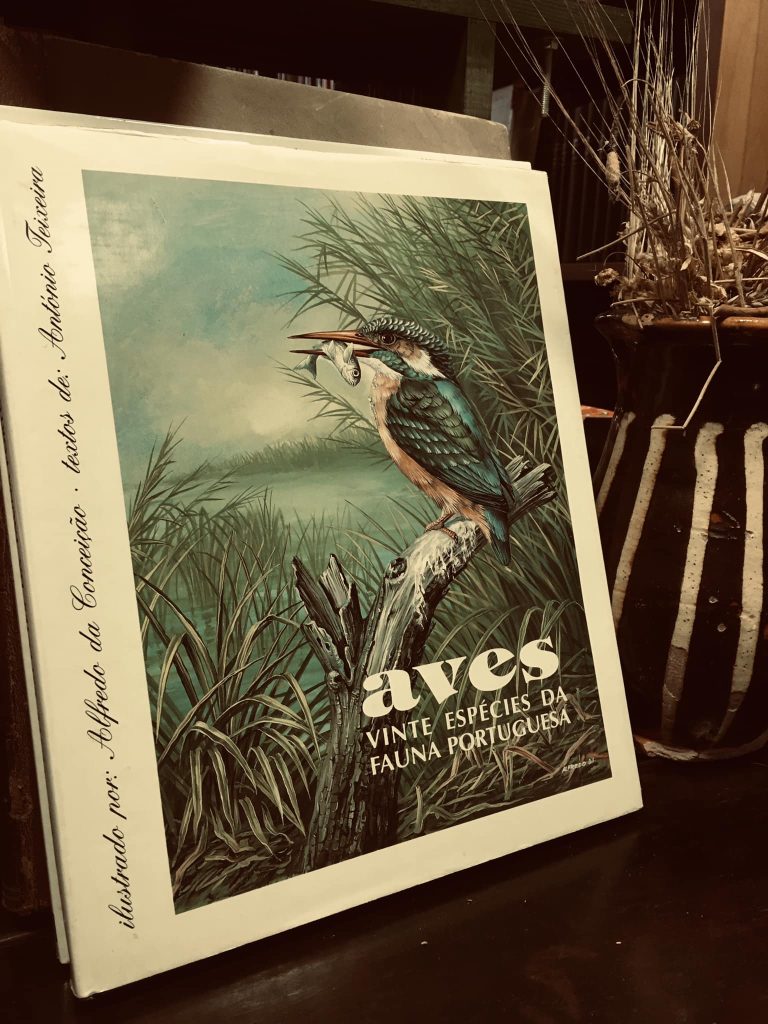 VENDIDO - Aves - Vinte Espécies da Fauna Portuguesa