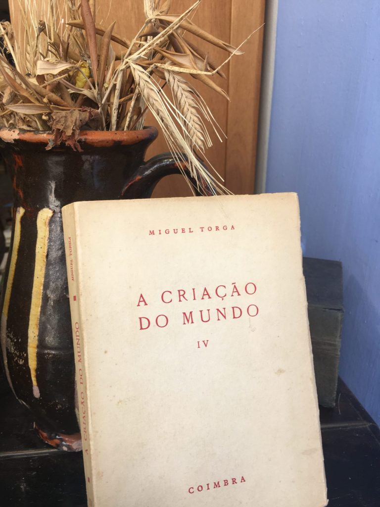 A Criação do Mundo IV - O quinto dia