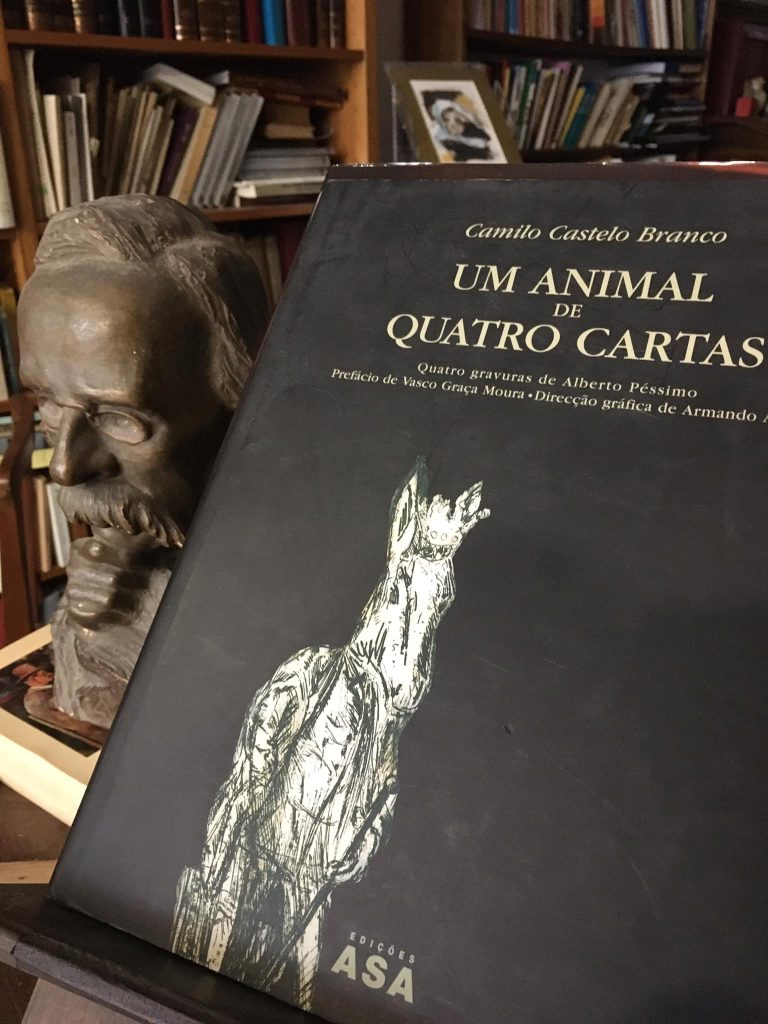 VENDIDO - Um Animal de Quatro Cartas