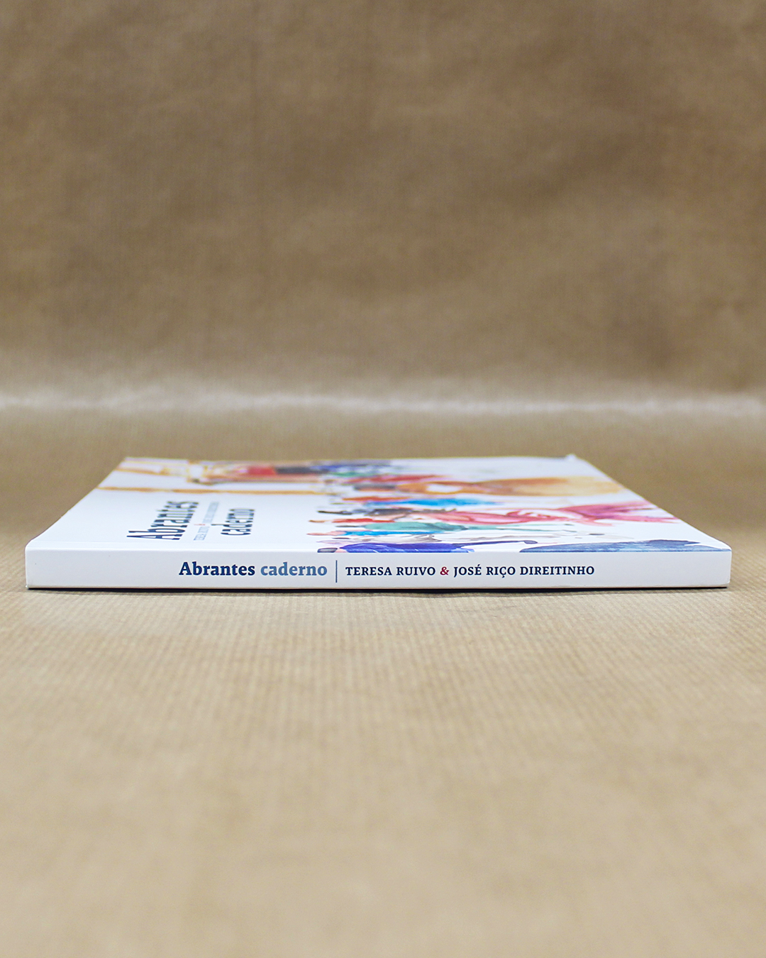 VENDIDO - Abrantes - Caderno de Teresa Ruivo e José Riço Direitinho - Image 2