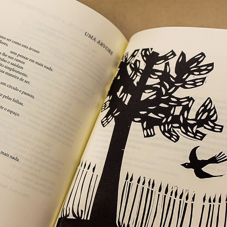 Poemas Durienses - Image 3