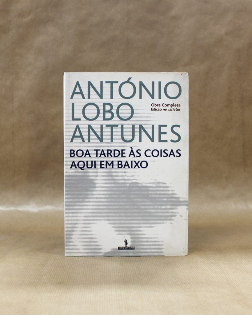 Boa Tarde às Coisas Aqui em Baixo