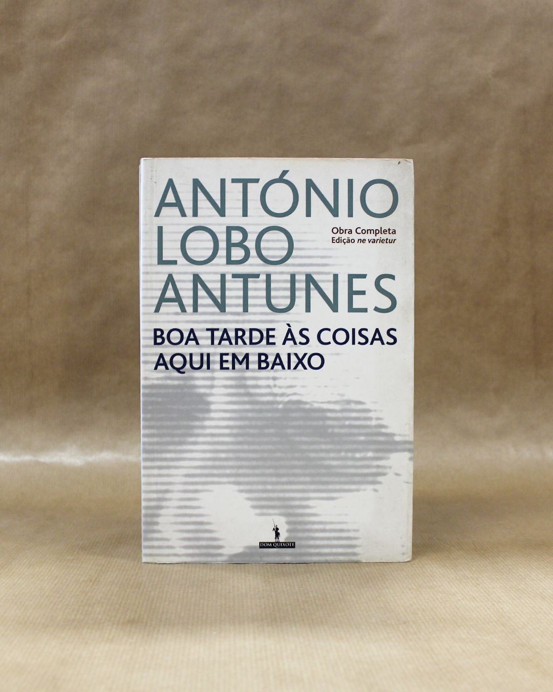 Boa Tarde às Coisas Aqui em Baixo