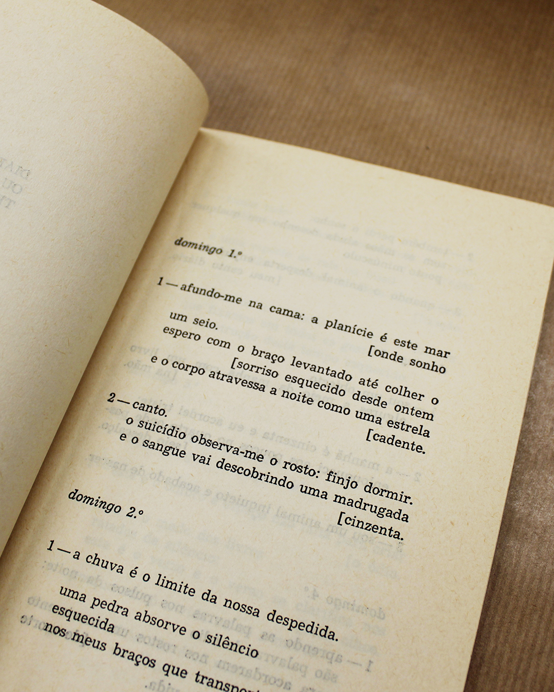 País Ignorado - Image 2