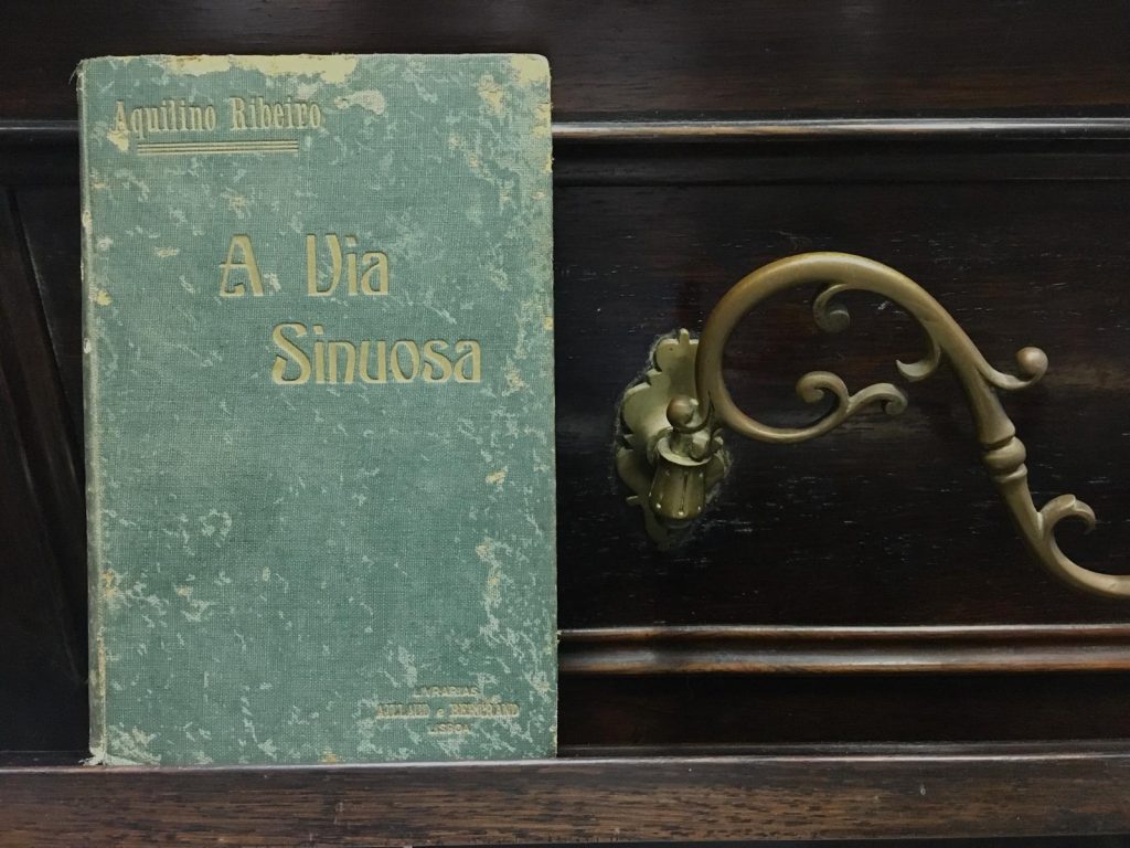 VENDIDO - A Via Sinuosa