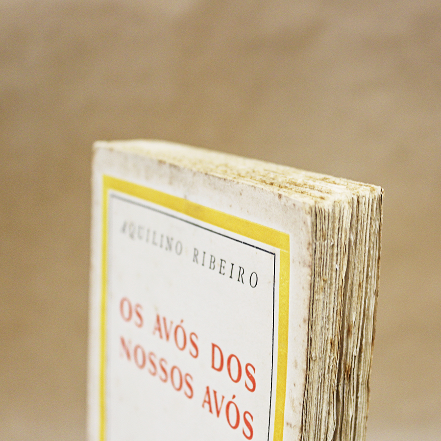 Os Avós dos nossos Avós - Image 4