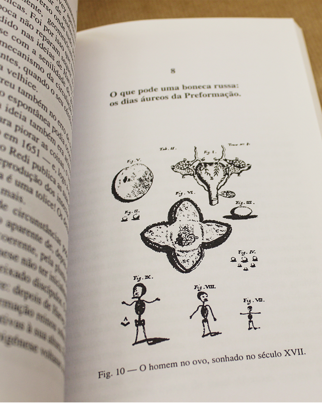 O Mistério dos Mistérios - Image 3