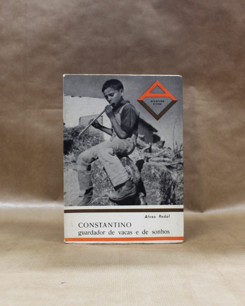 VENDIDO - Constantino - guardador de vacas e de sonhos
