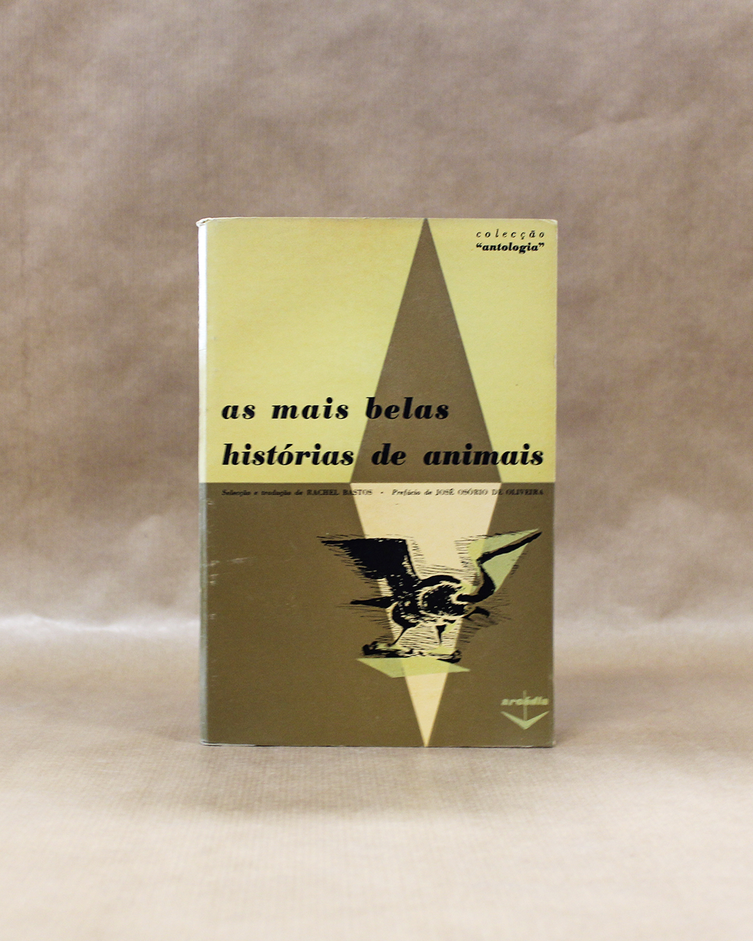 As mais belas histórias de animais