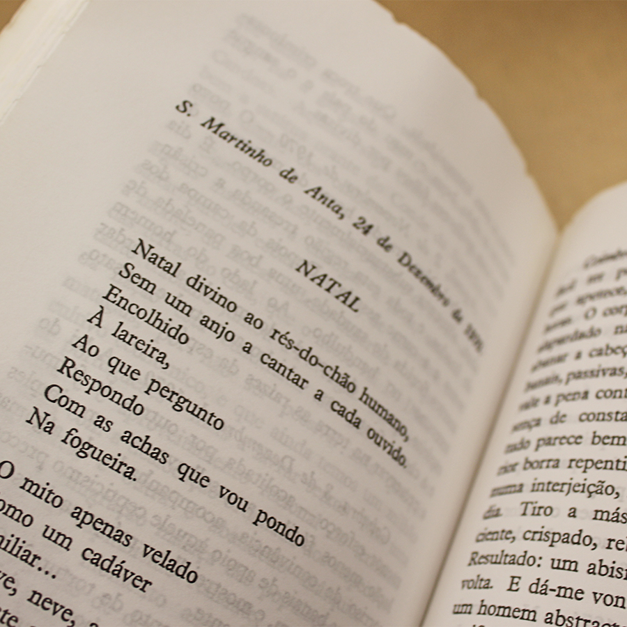 VENDIDO - Miguel Torga - Diário XI - Image 4