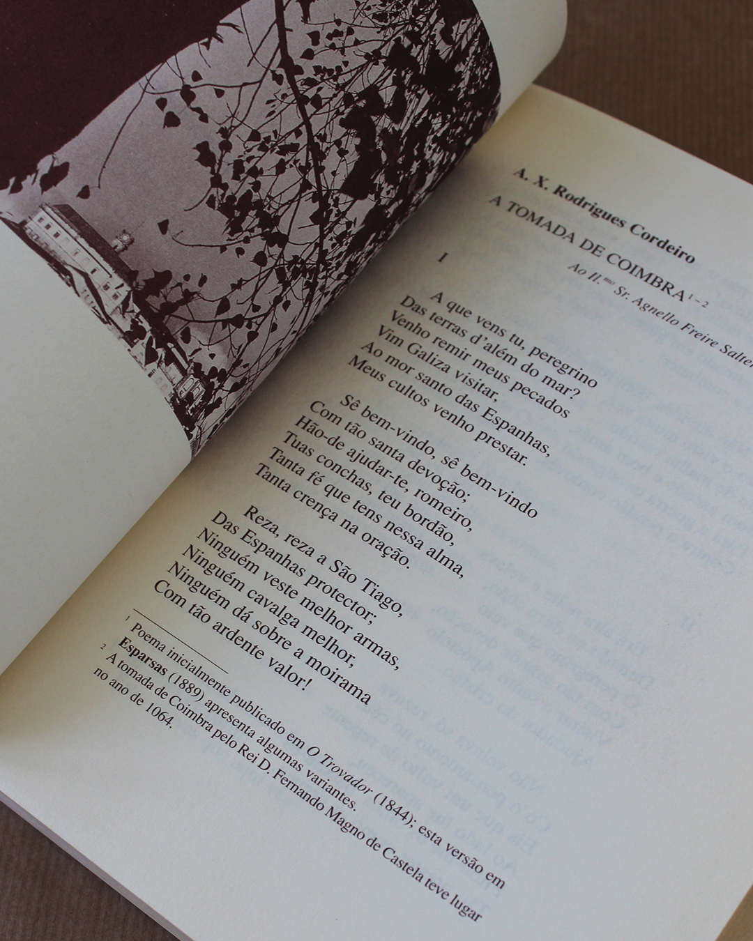 Encantada Coimbra - Colectânea de Poesia sobre Coimbra - Image 2