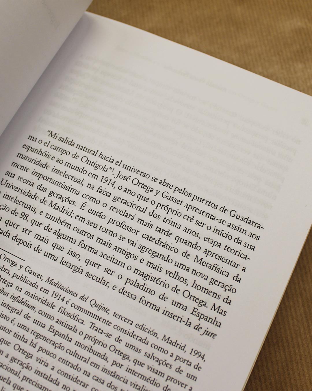 VENDIDO - Entre a História e a Vida - A Teoria da História em Ortega y Gasset - Image 2