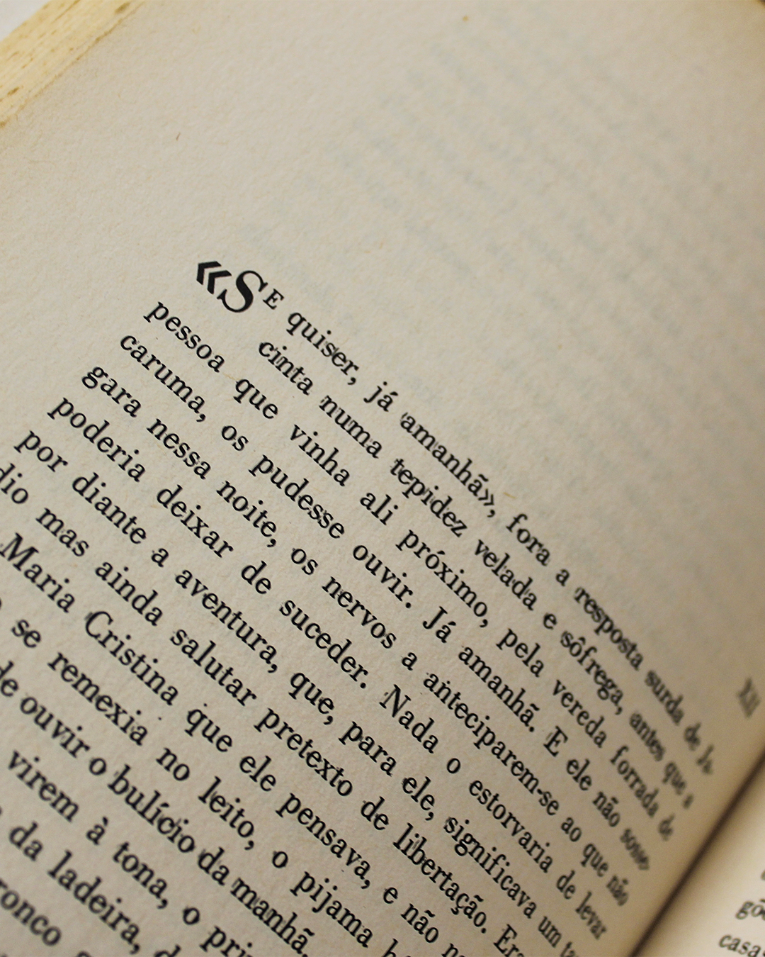 Os Clandestinos - Image 2