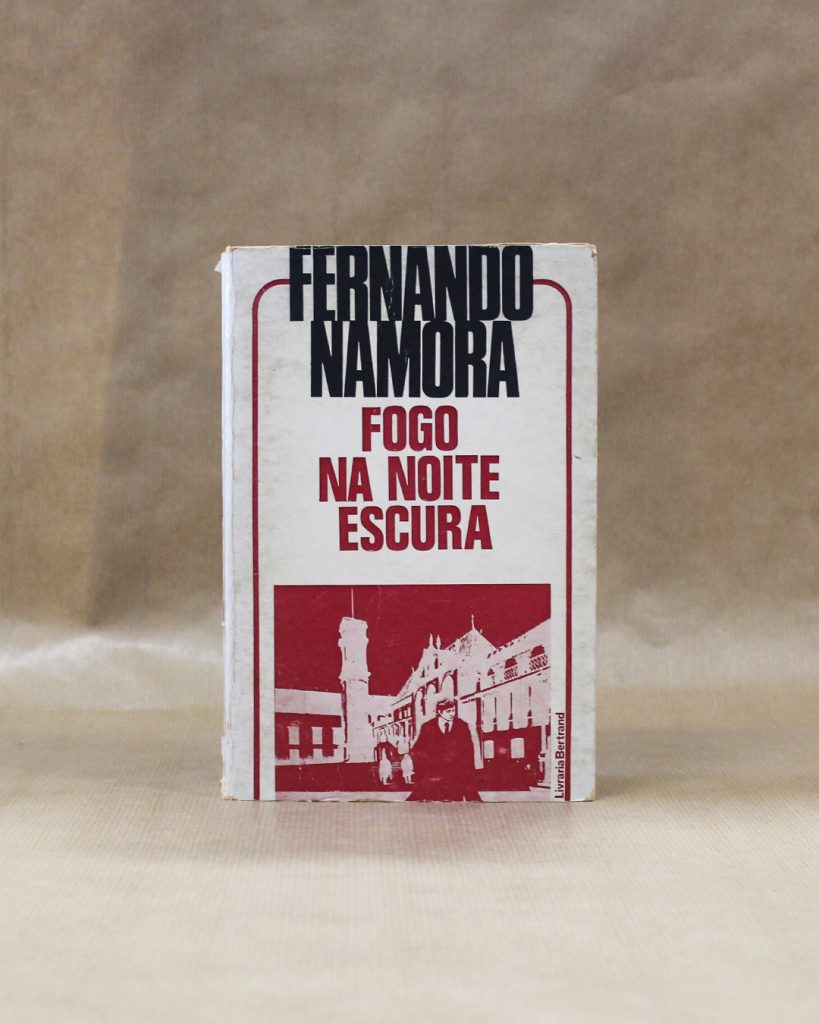 Fogo na Noite Escura