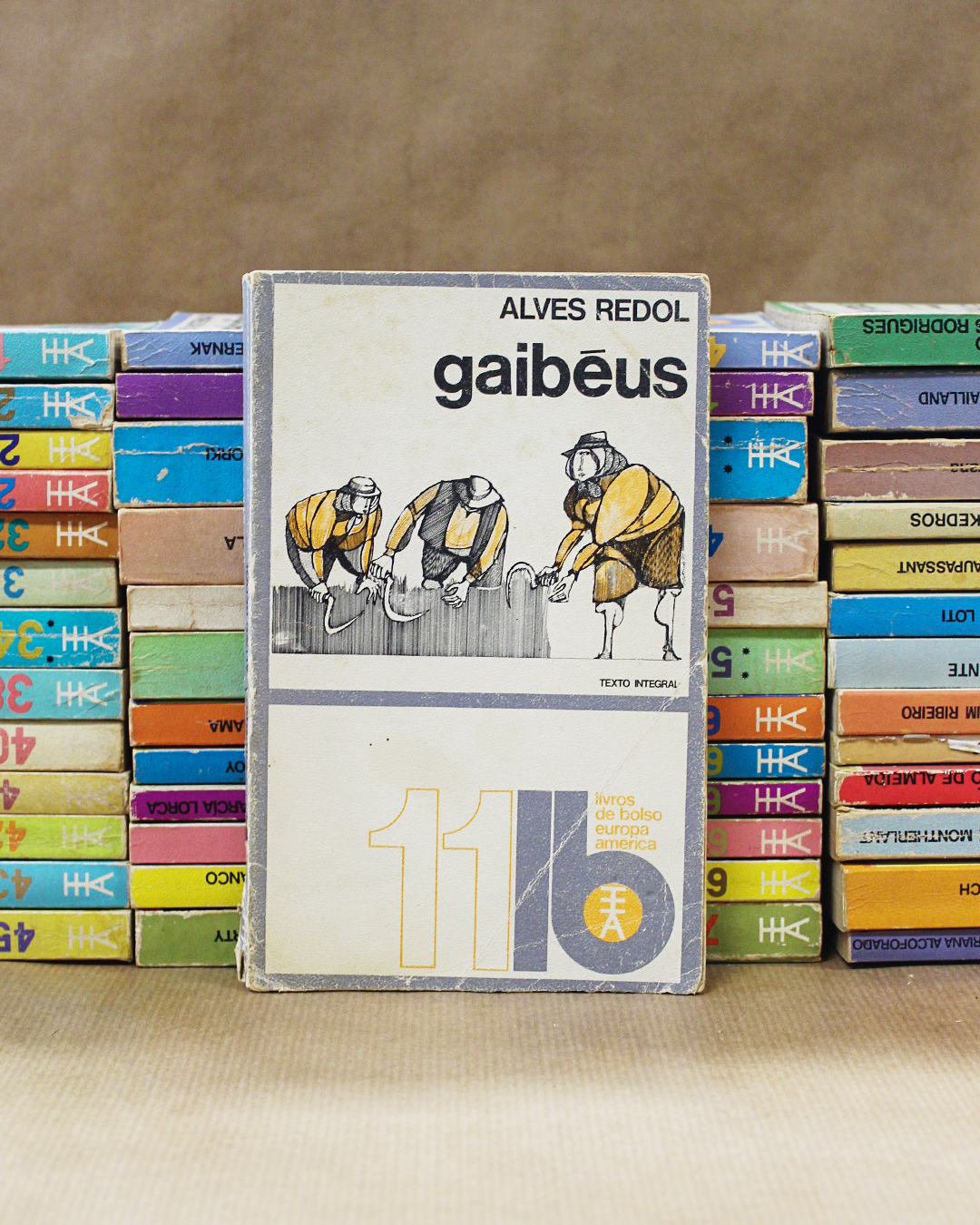 VENDIDO - Gaibéus