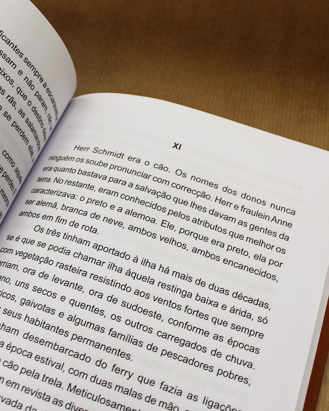 Histórias Parvas - Image 2