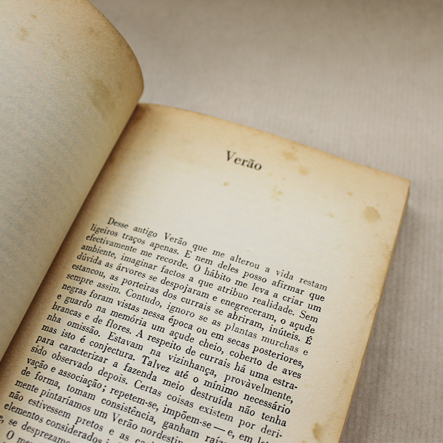 Infância - Os Livros das Três Abelhas - Image 3