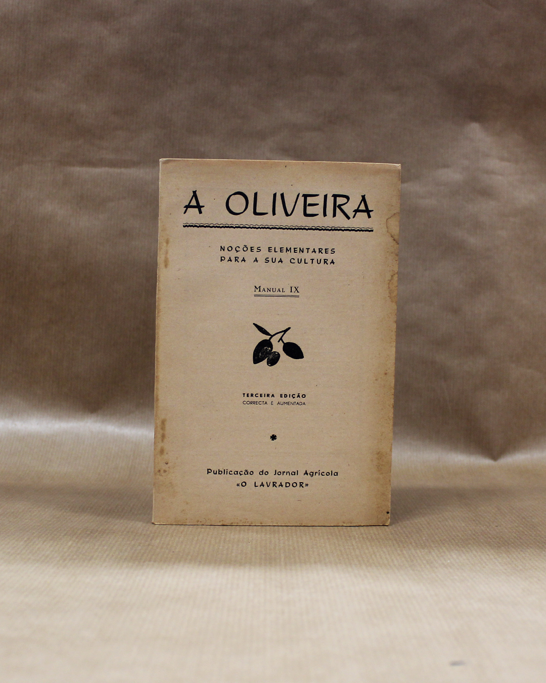 VENDIDO - A Oliveira