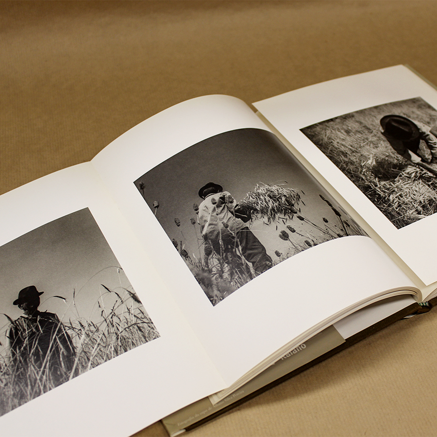 VENDIDO - Manto de Cêres - Image 5