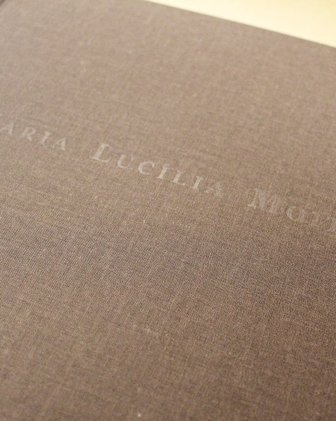 VENDIDO - Maria Lucília Moita - Image 4