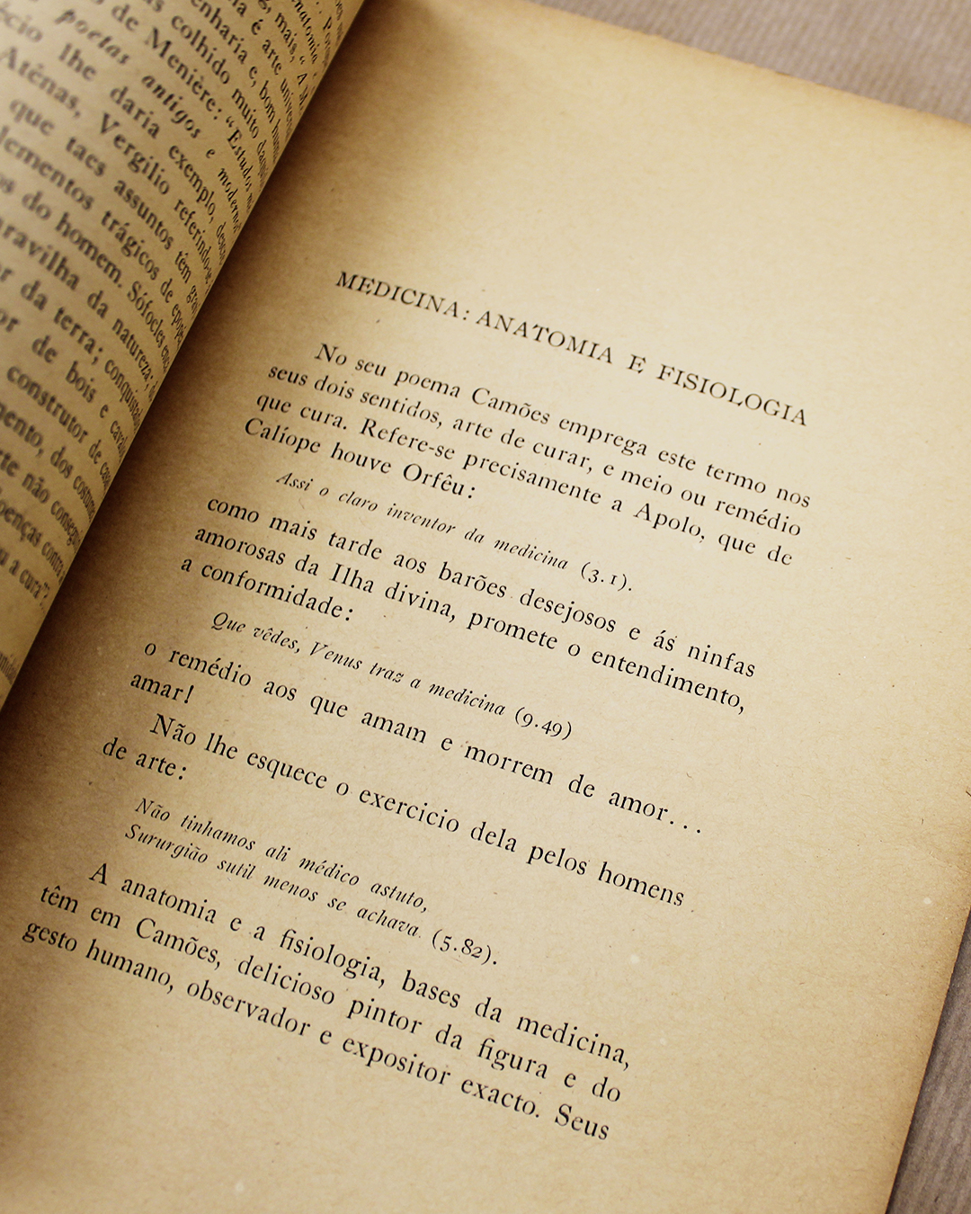 Medicina D'Os Lusíadas - Image 2