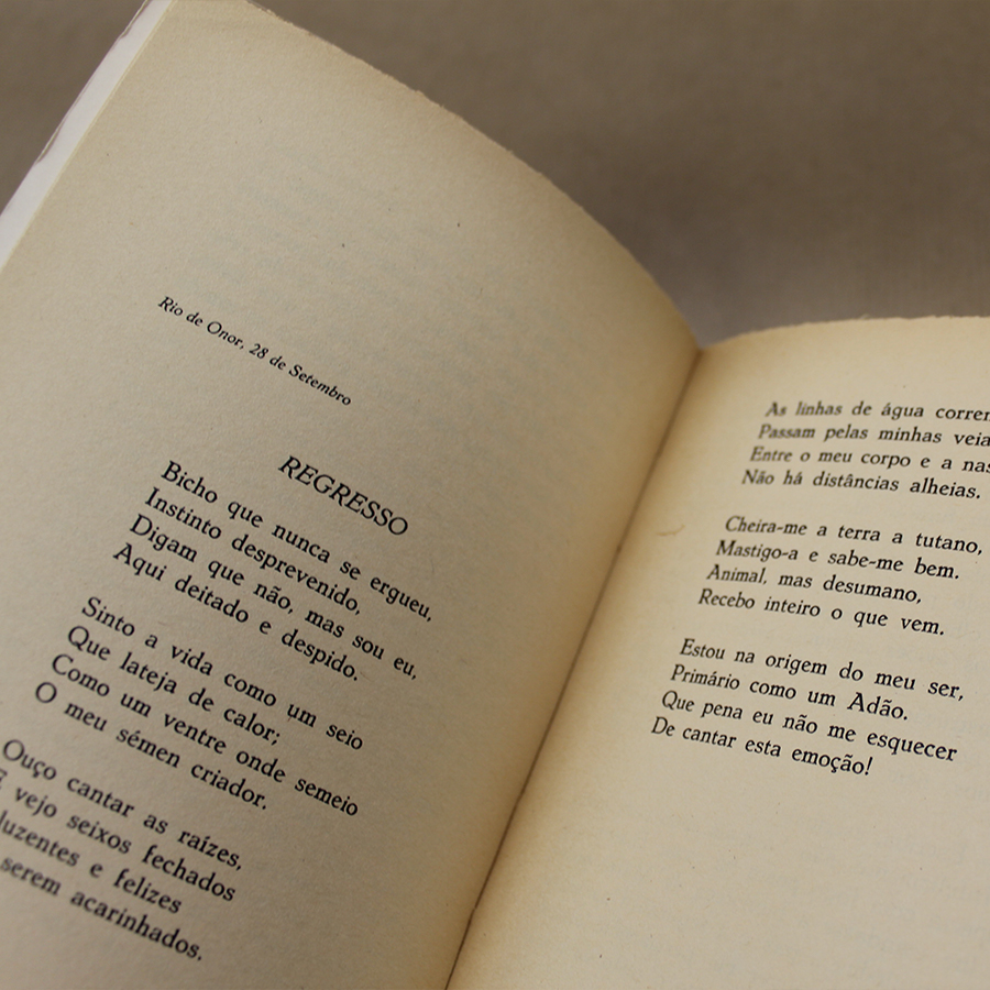 VENDIDO - Miguel Torga - Diário IV - Image 3