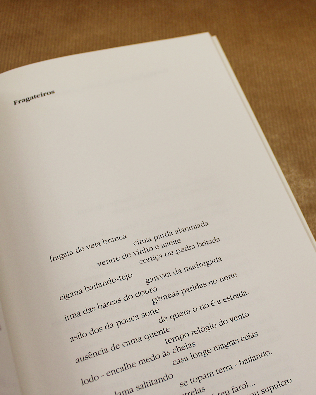Poemas da terra dos homens curvados - Image 2