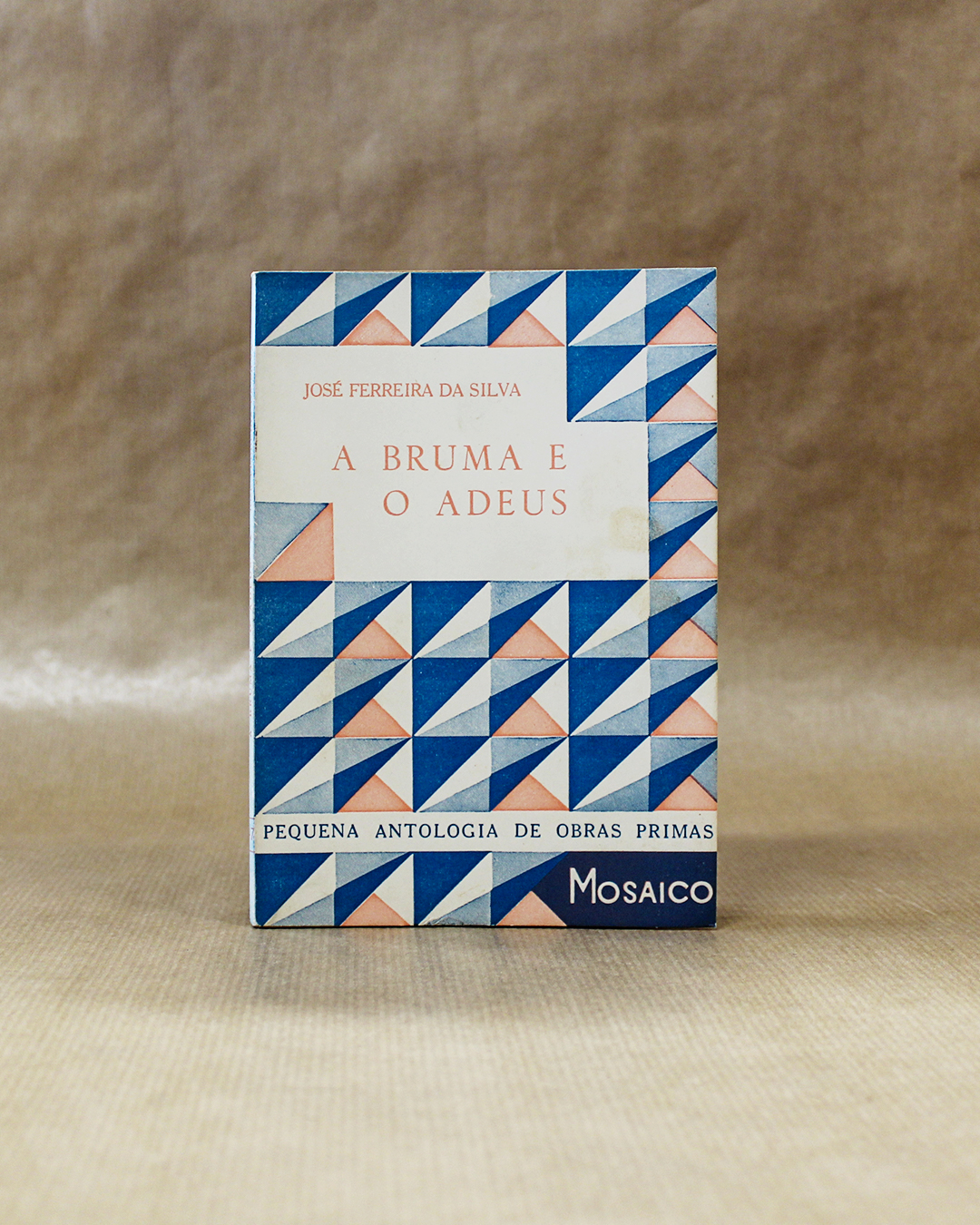 A Bruma e o Adeus