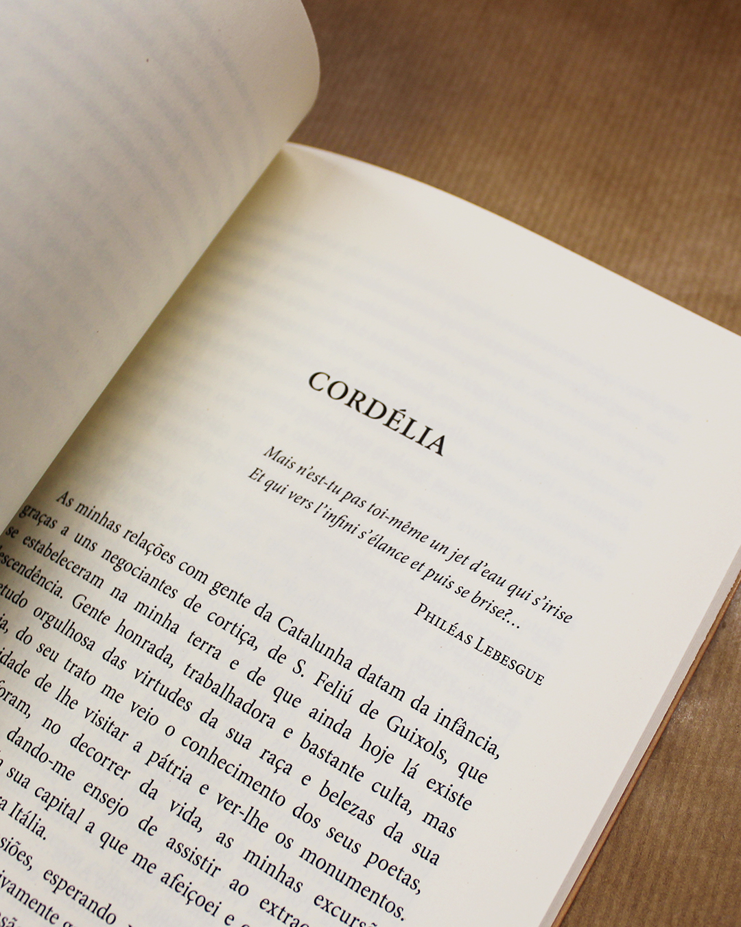 VENDIDO - Novelas Eróticas - Image 2