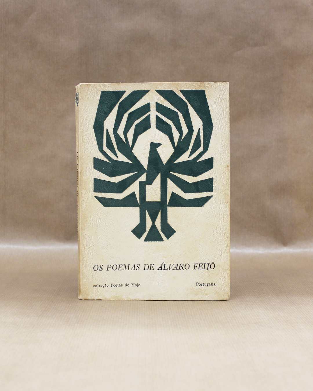 Os Poemas de Álvaro Feijó