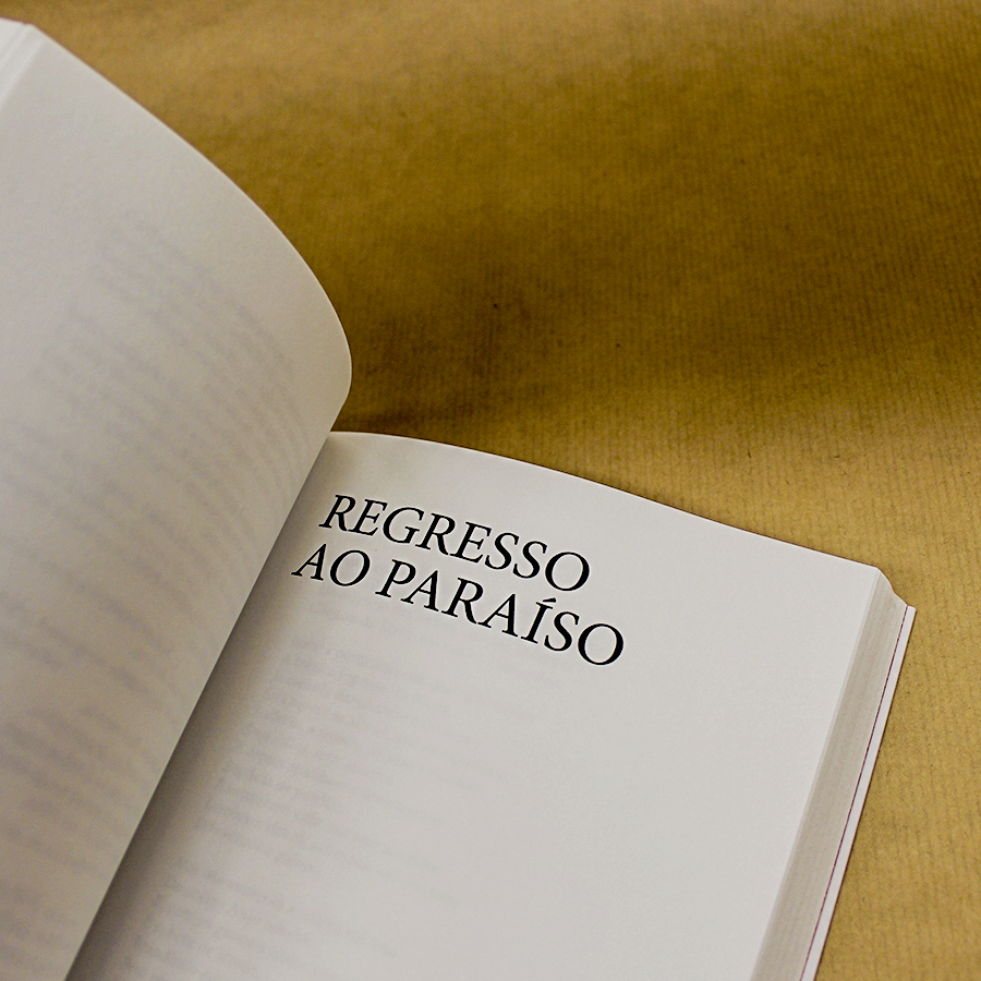 Teixeira de Pascoaes - Poesia III - Image 4