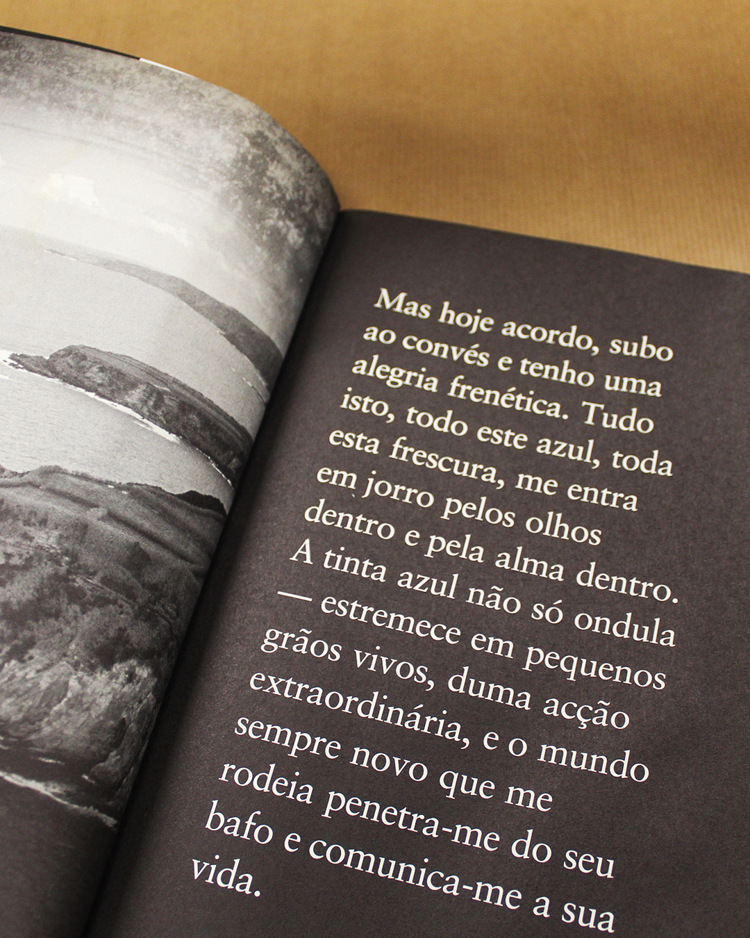 VENDIDO - As Ilhas Desconhecidas - Image 3